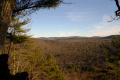 PineKnobTrail-KF-04
