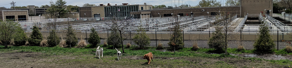 Greenwich for Dogs